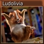 ludolivia02